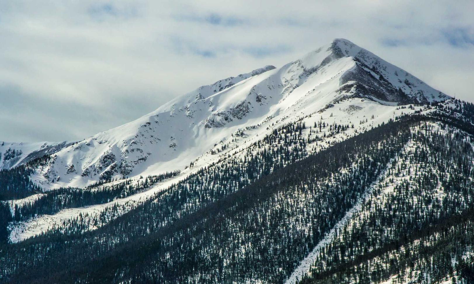 金洋6创新营销：如何在市场竞争中脱颖而出