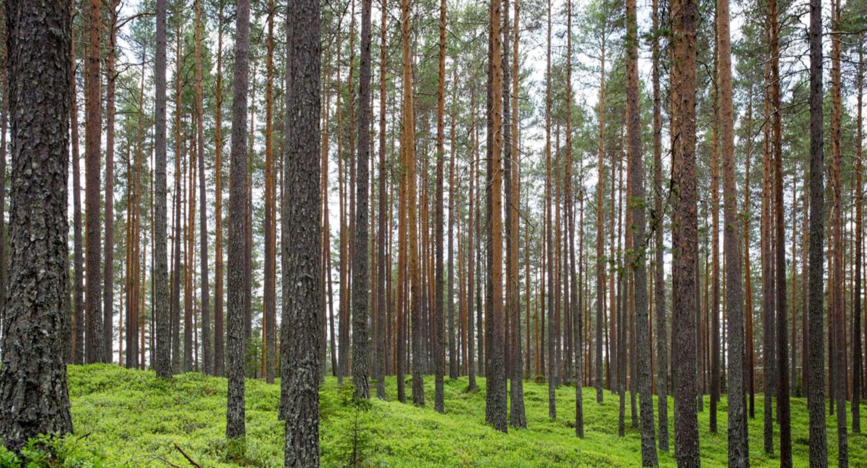 微信号白号批发：禹城代理注册收费
