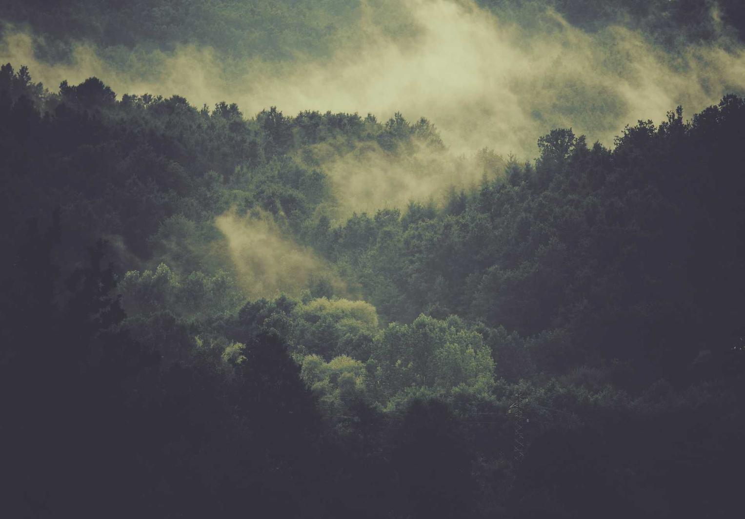 皇马福田代理公司注册收费