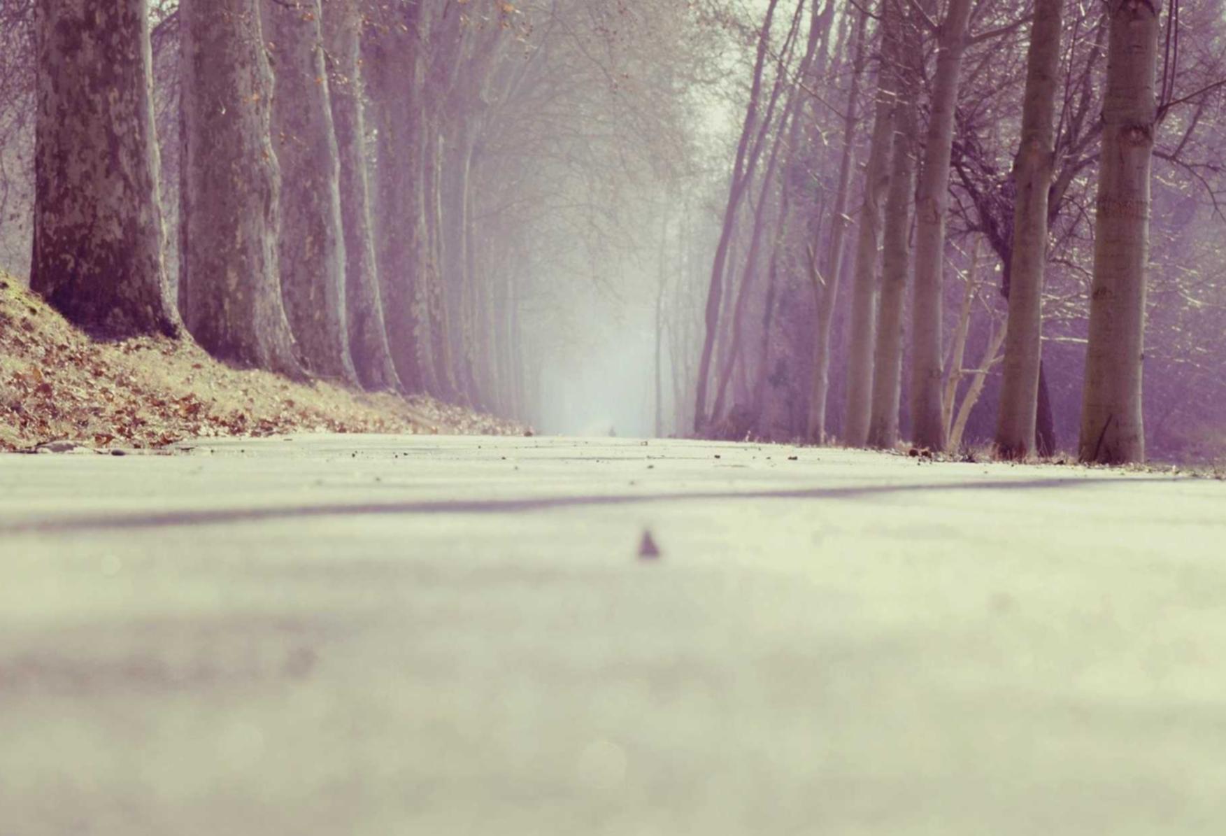 soul实名账号:夜色巴黎APP详情下载教程