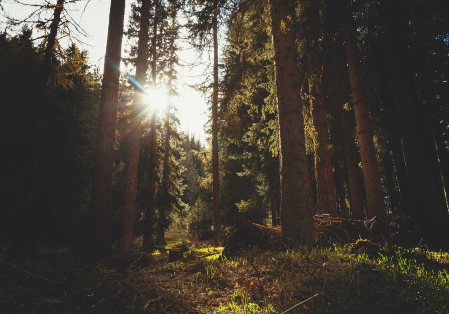 买卖微信号:伟伟购买号平台