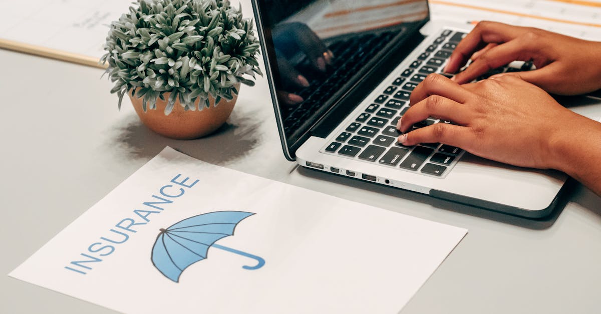 四方vie结构注册代理