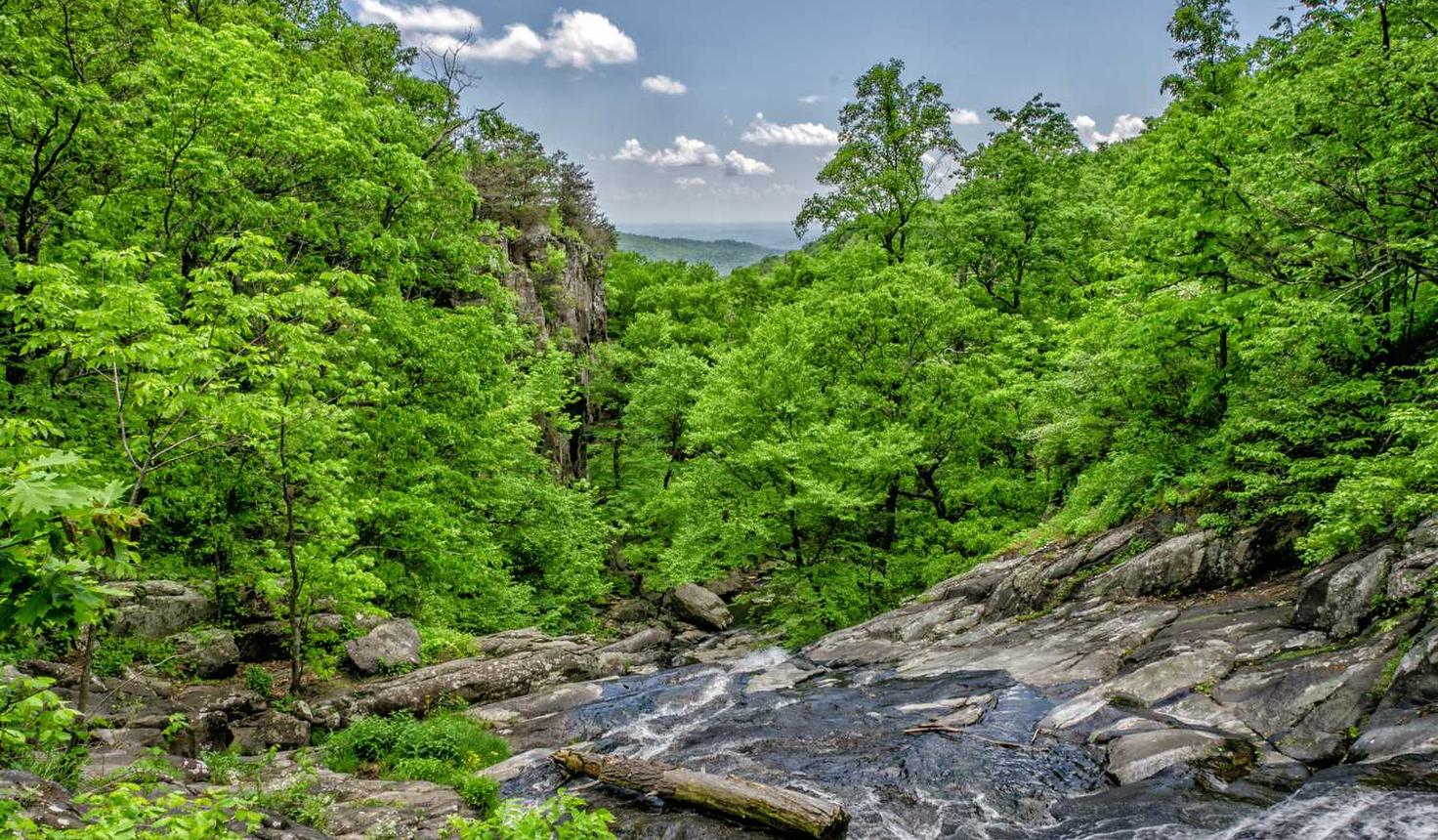 迷你世界账号注册网页版