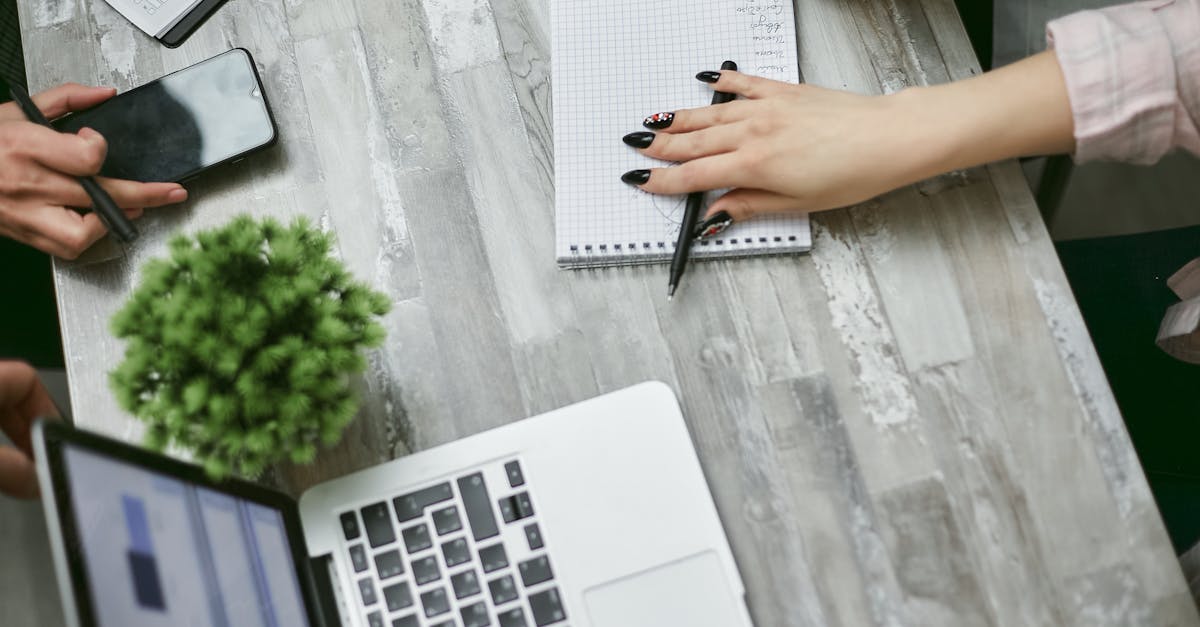 菠萝云实名账号:辅助自动化工具代理平台