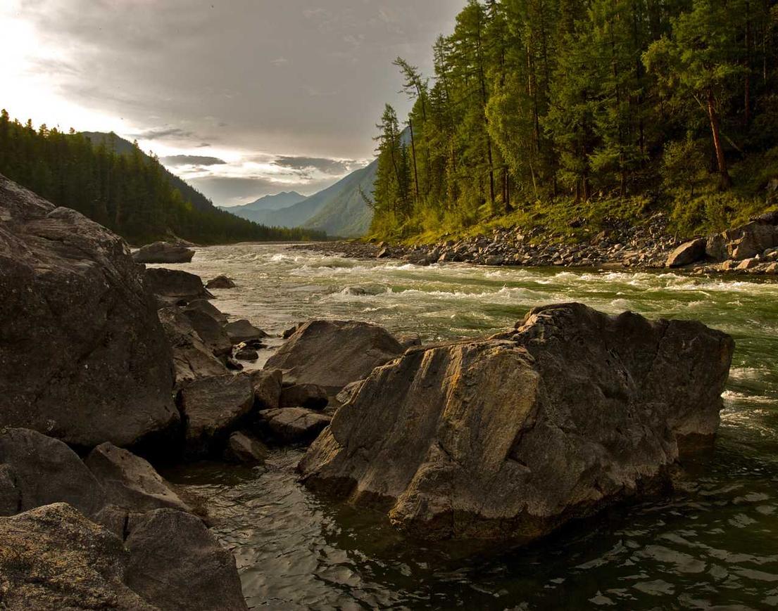 蝙蝠代实名实名账号：自己做外卖平台怎么做代理