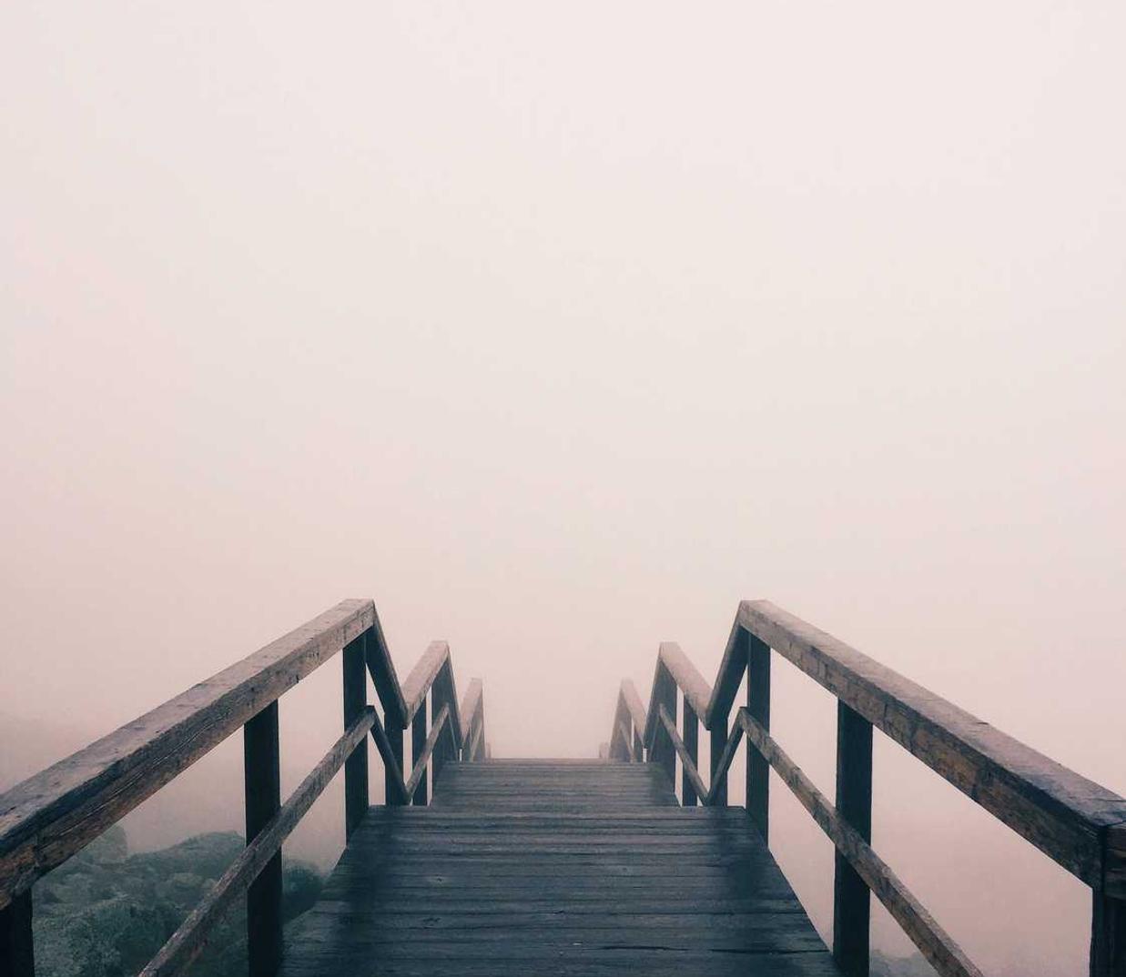 方盒欧盟七星蓝莓：矿山直销代理公司注册