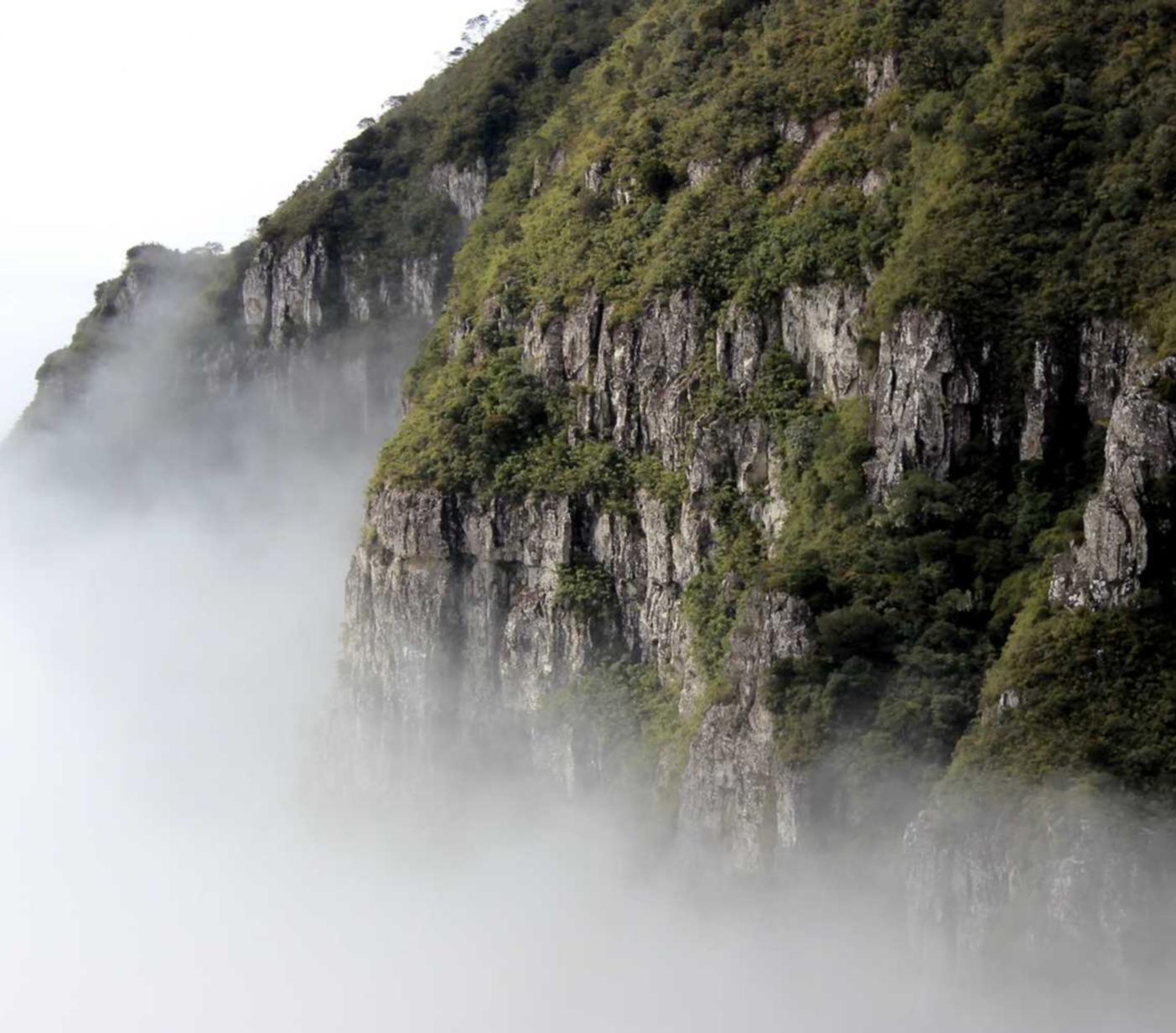 抖音实名账号：广州海珠注册代理