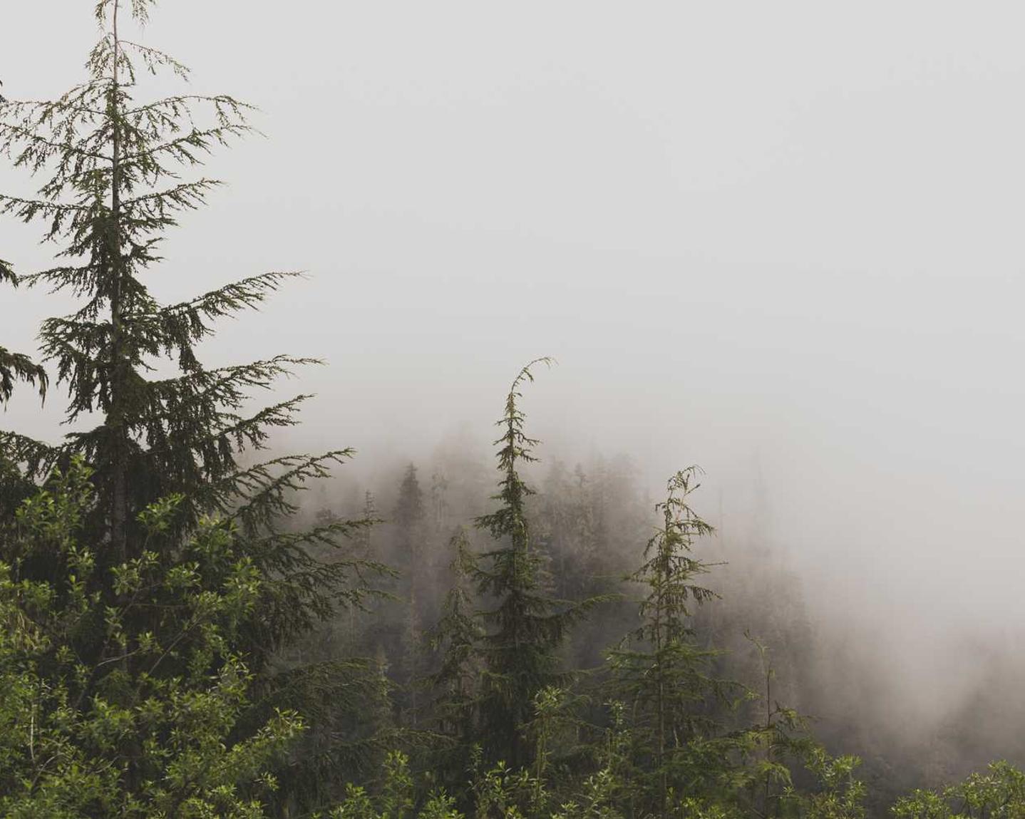 星际战甲：台版购买平台