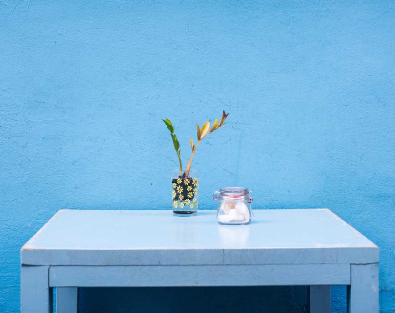 忠告七星蓝莓爆珠:理宁波公司注册代理