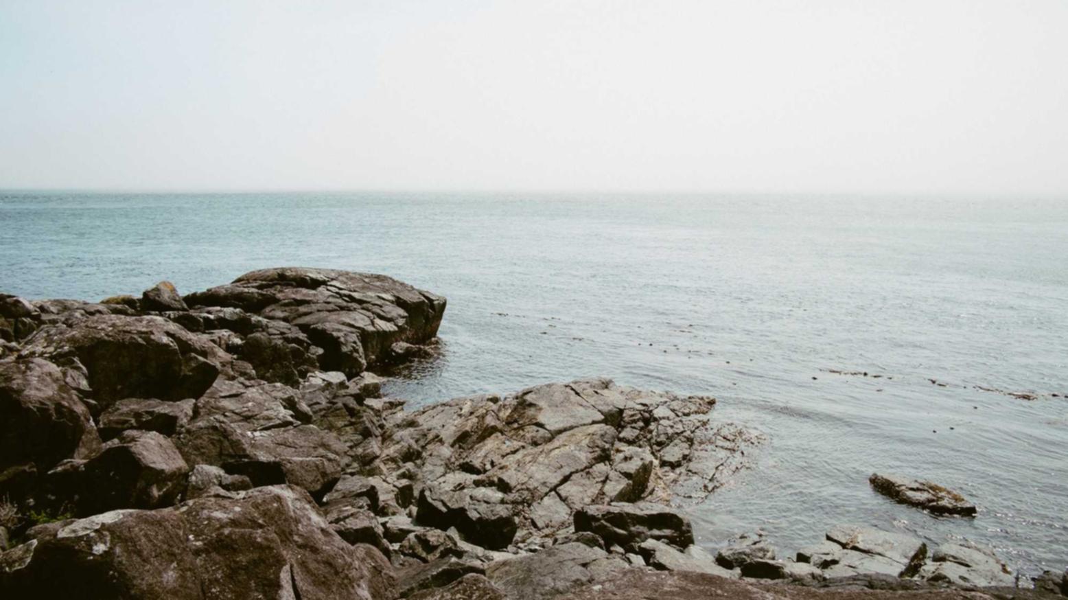 vx账号买卖：深圳梧桐山官方账号注册