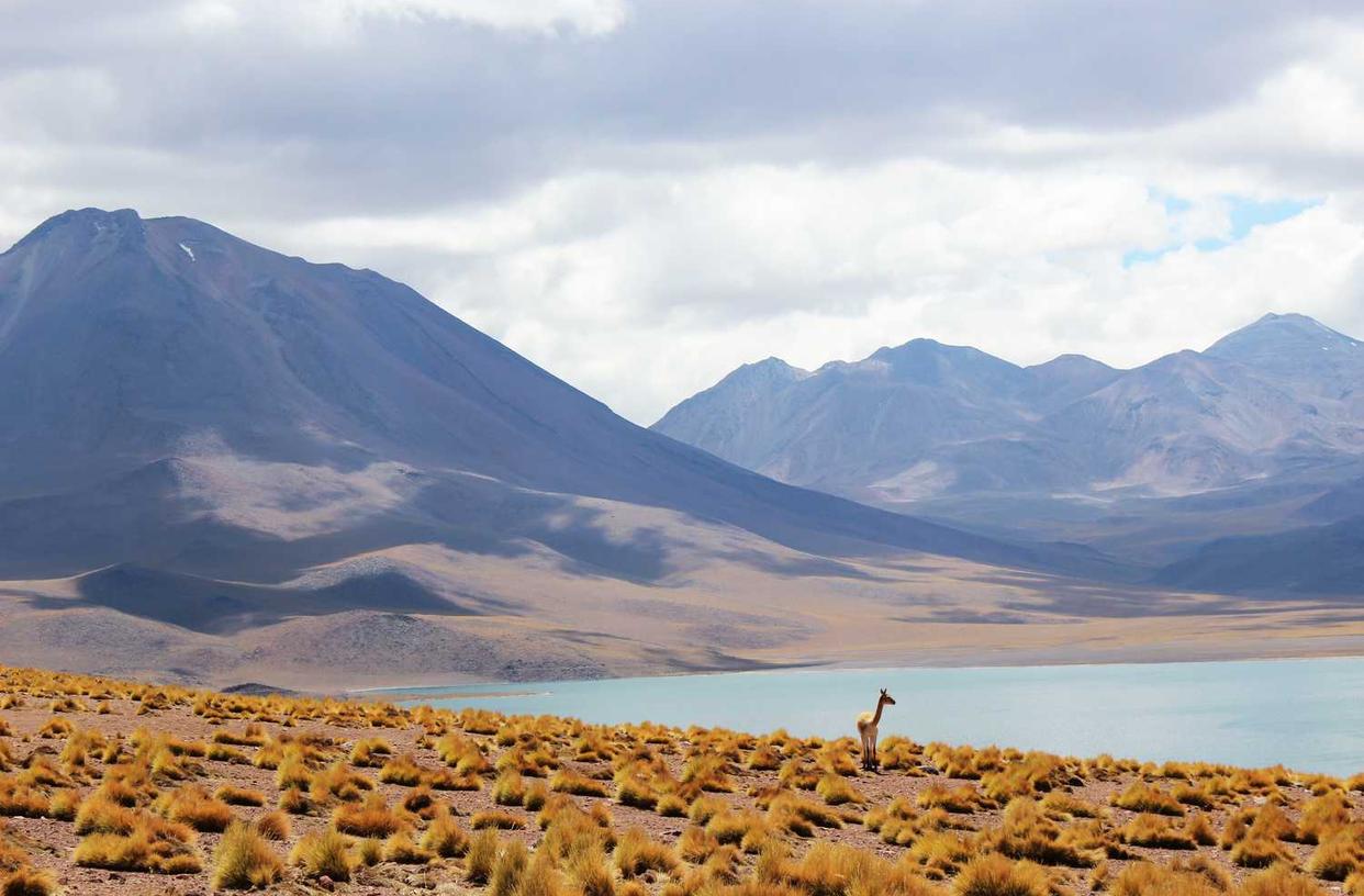 解读被DDOS攻击深圳- 陌色直播app详情下载教程