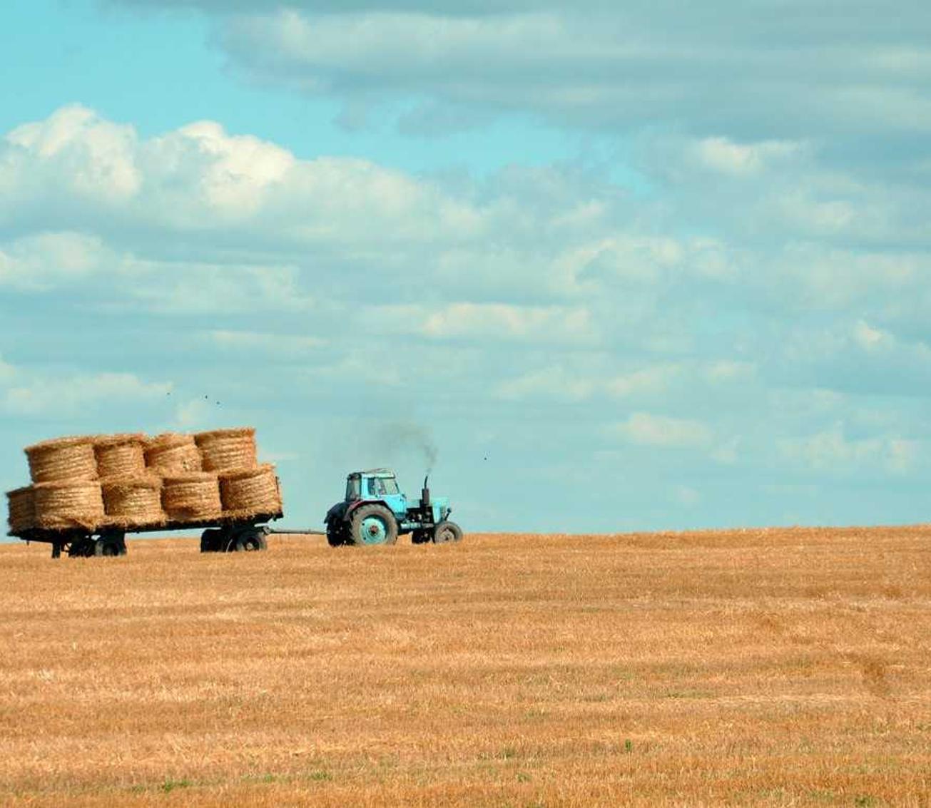 镜面爱喜冰爆珠：找知己app详情下载教程