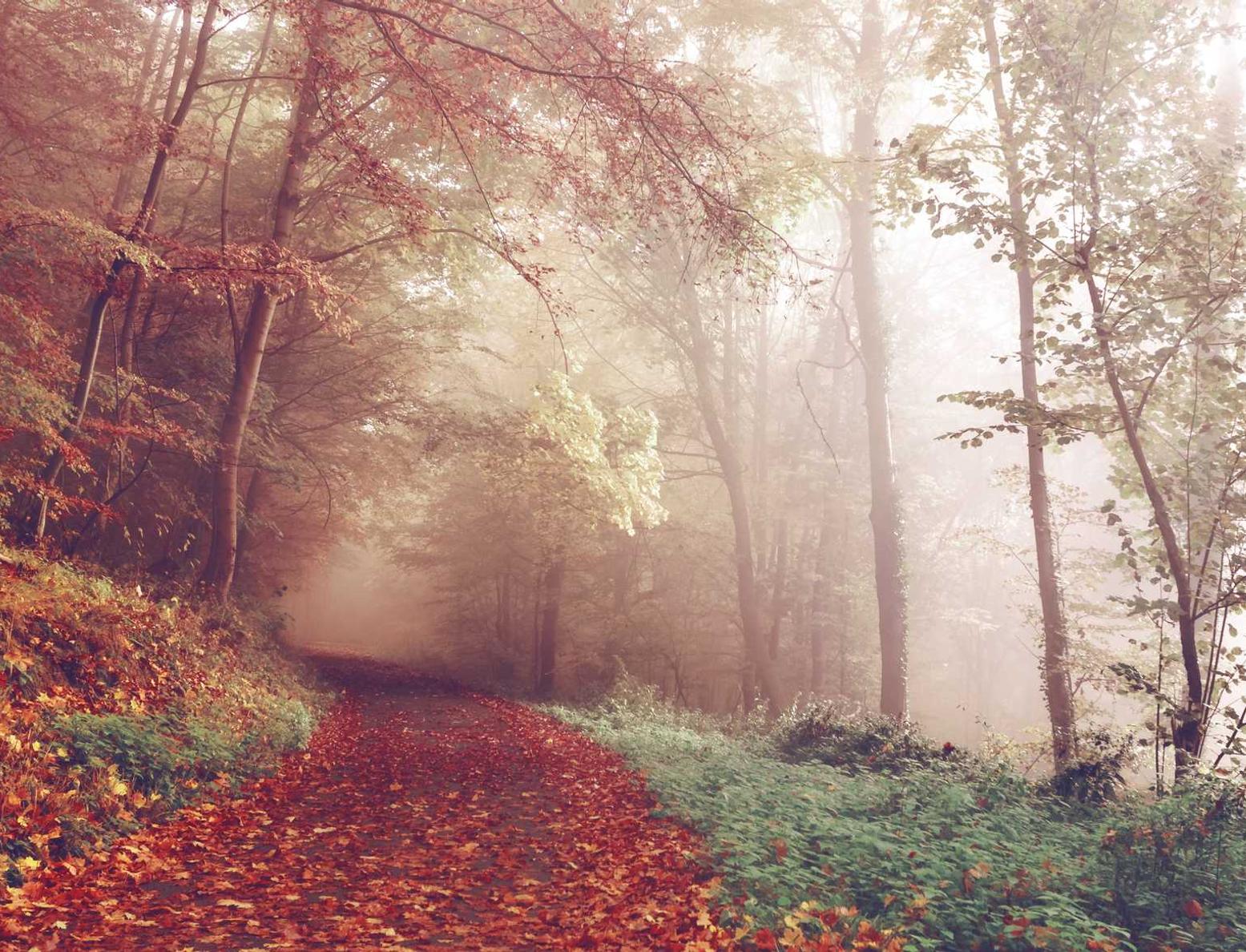 UDP攻击|授权代理公司注册