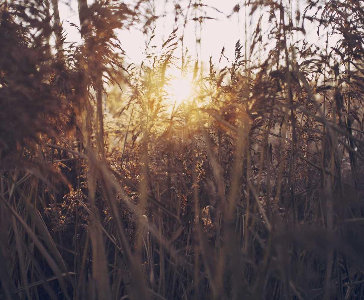 快手实名账号：拼音阅读app详情下载教程