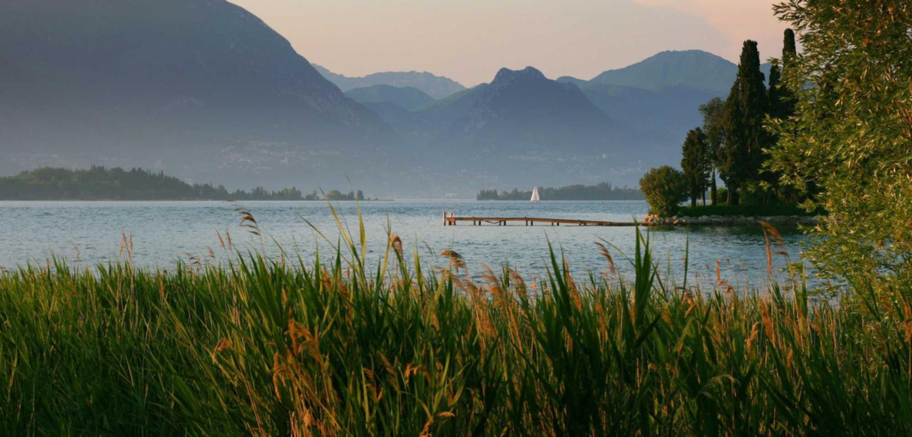 让您的短信在人人皆知的时代中脱颖而出