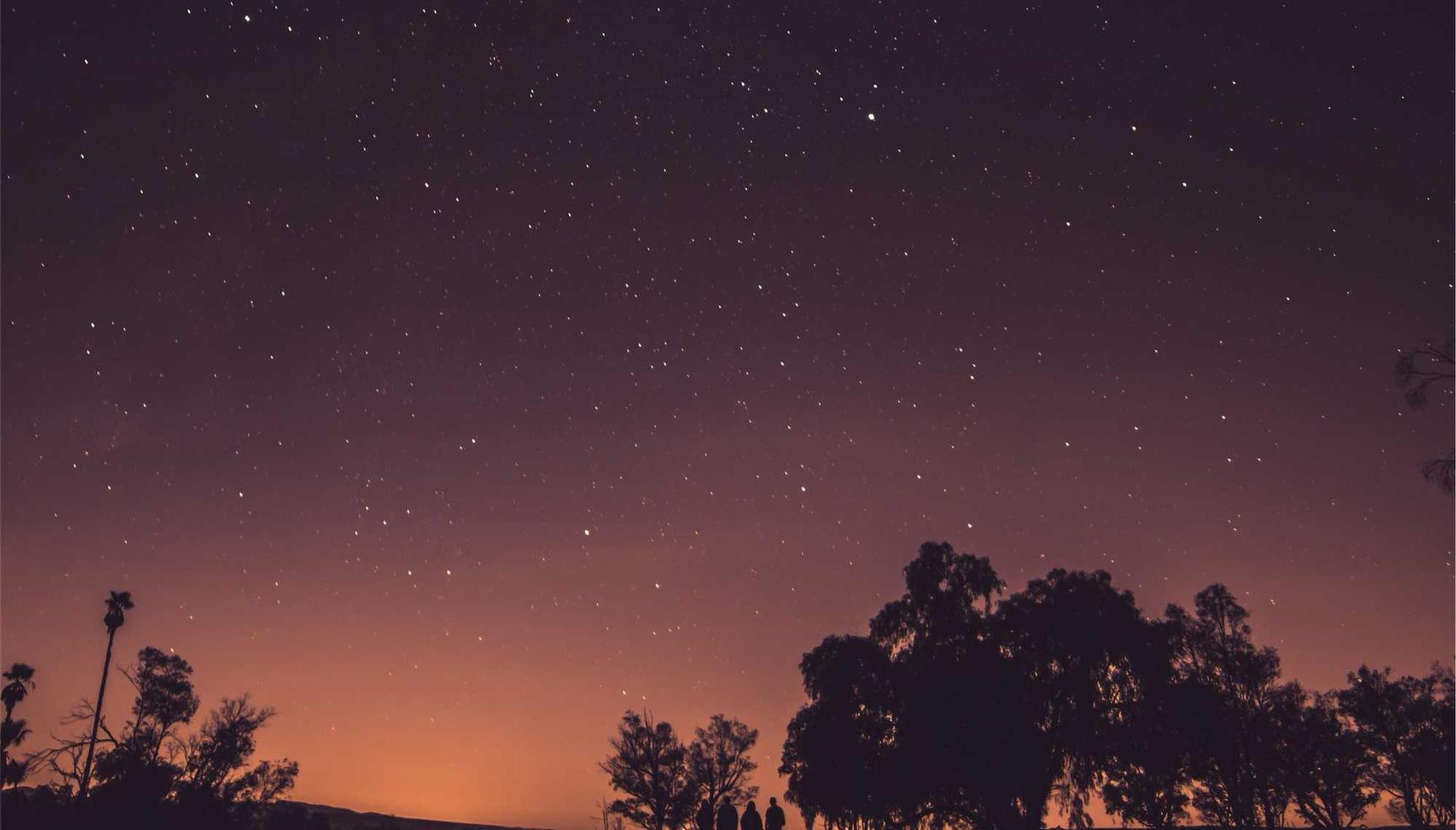 闪电出国app详情下载教程