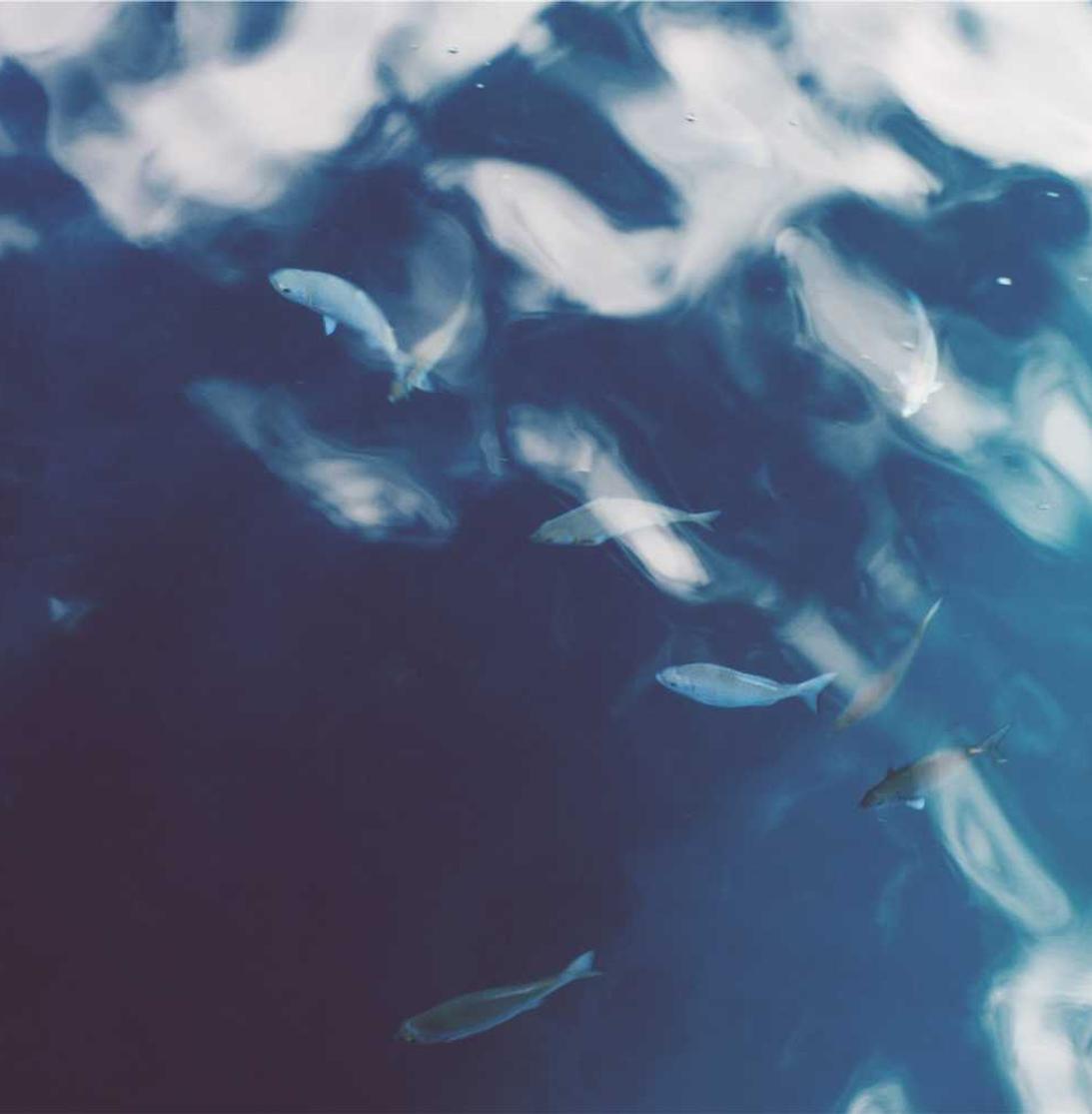 如何分析网站关键词